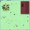 Nivra animated small