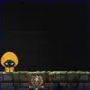 Dark Assassin animated small