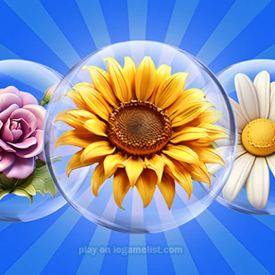  Dice Puzzle Flowers! unblocked
