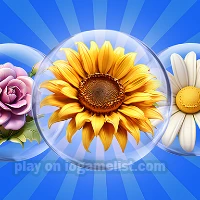 Dice Puzzle Flowers! unblocked